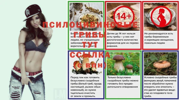 PSILOCYBIN Белоозёрский