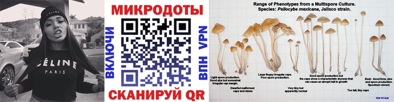 Псилоцибиновые грибы прущие грибы  мега маркетплейс  Славгород  продажа наркотиков 