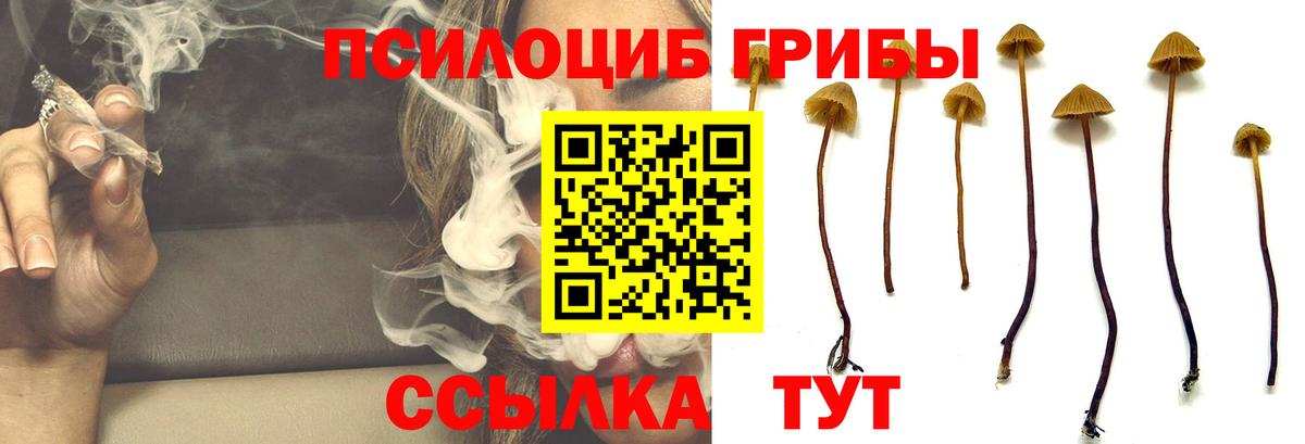 Галлюциногенные грибы Magic Shrooms  наркотики  Славгород  Псилоцибиновые грибы Magic Shrooms  Вход с VPN 