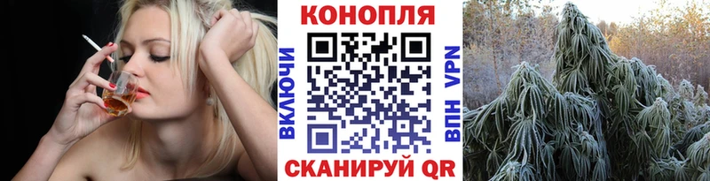 купить закладку Славгород Бошки Шишки OG Kush